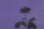 Neu-Antikglas violett